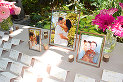 LOVE IN BLOOM AT WISTERIA HALL